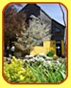 The house in springtime