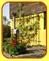 The house in summer