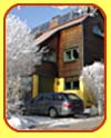 The house in winter